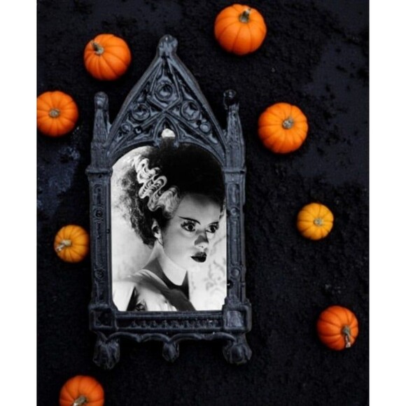 Bride of Frankenstein Magnet Elsa Lanchester 1935 Classic Monster Movie Decor - Picture 3 of 4